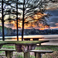 Bench By Lake