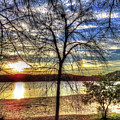 sunset at the park